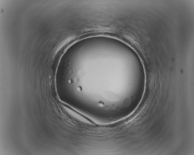 X0000064731163200602171634