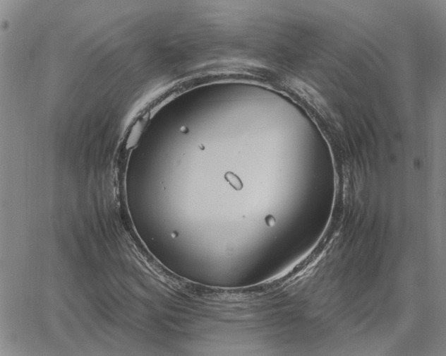 X0000064731164200602171634