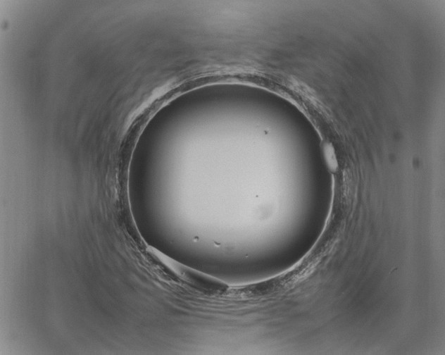 X0000064731165200602171634