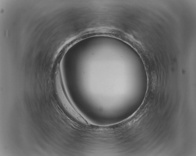 X0000064731166200602171634