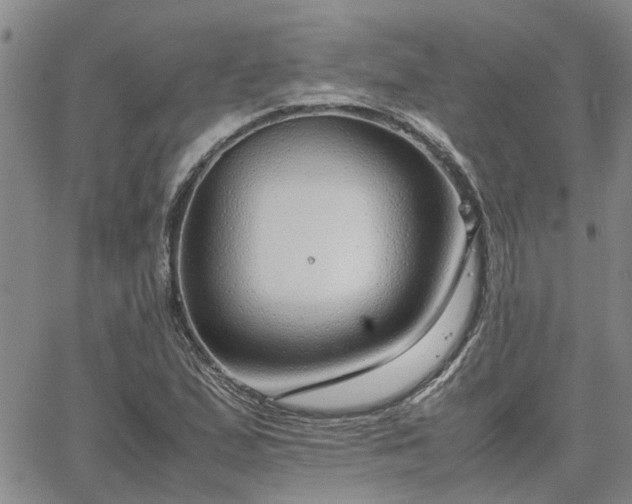 X0000064731167200602171634