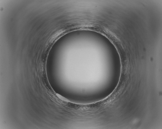 X0000064731169200602171634