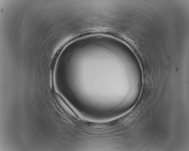 X0000064731171200602171634