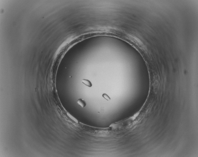 X0000064731172200602171634