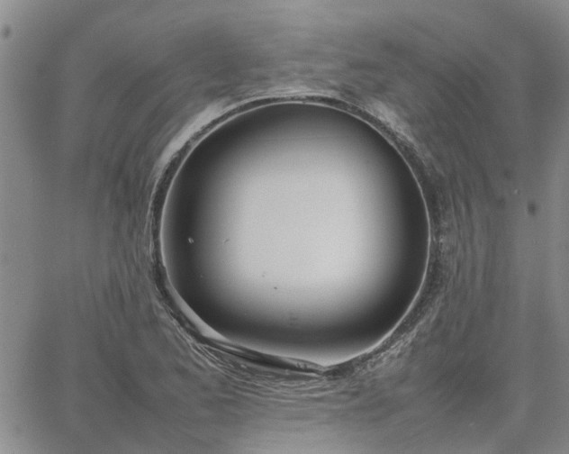 X0000064731173200602171634