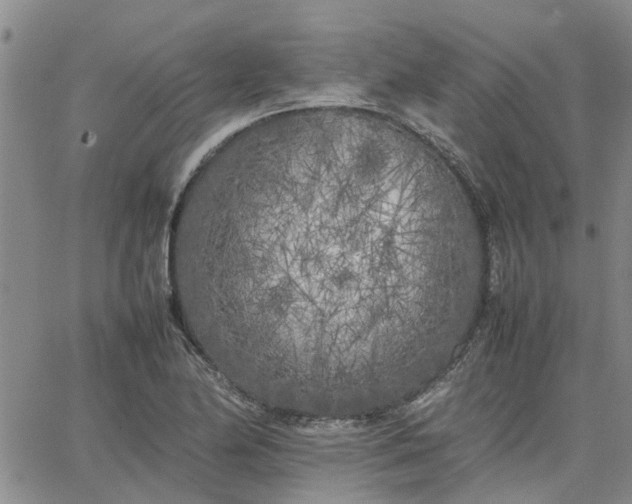 X0000064731174200602171634