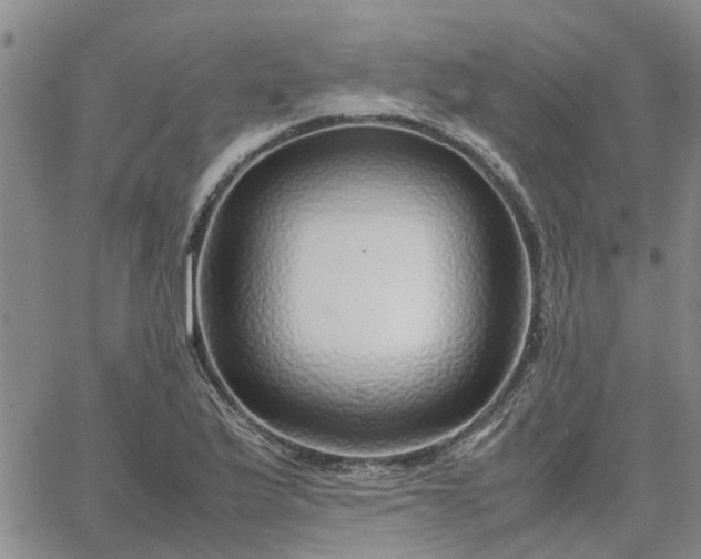 X0000064731175200602171634