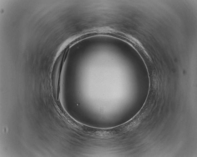 X0000064731176200602171634