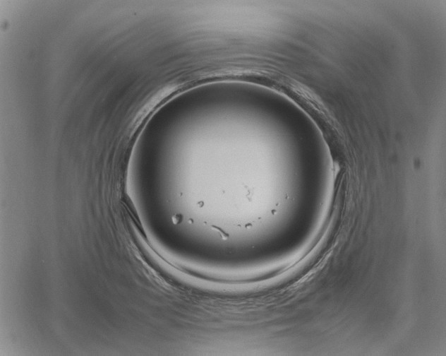 X0000064731177200602171634