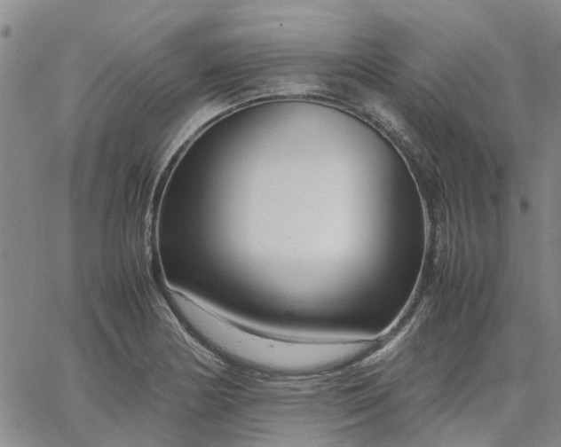 X0000064731178200602171634