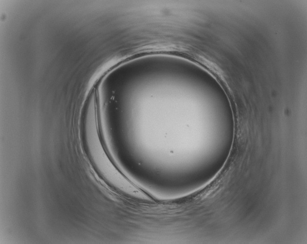 X0000064731179200602171634