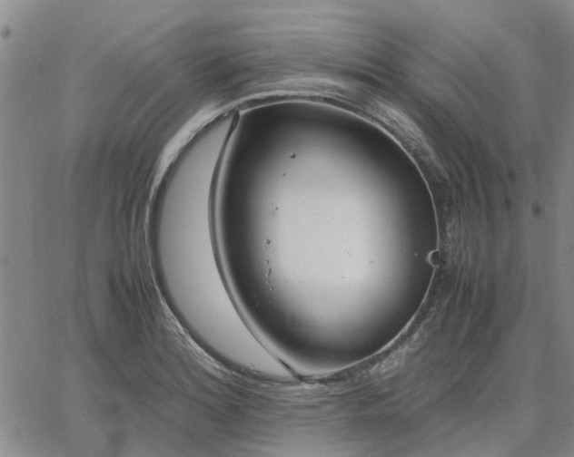 X0000064731180200602171634