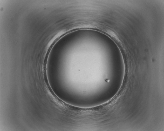 X0000064731181200602171634