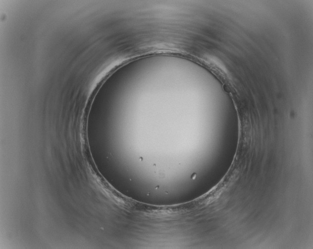 X0000064731182200602171634