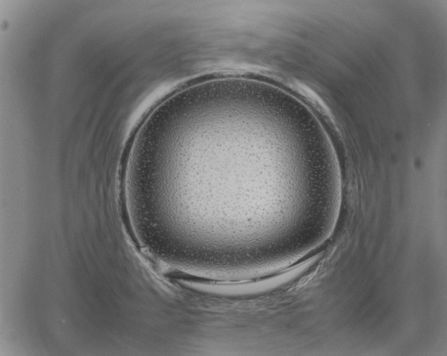 X0000064731183200602171634