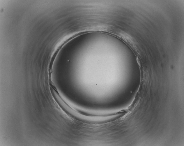 X0000064731184200602171634