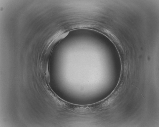 X0000064731185200602171634