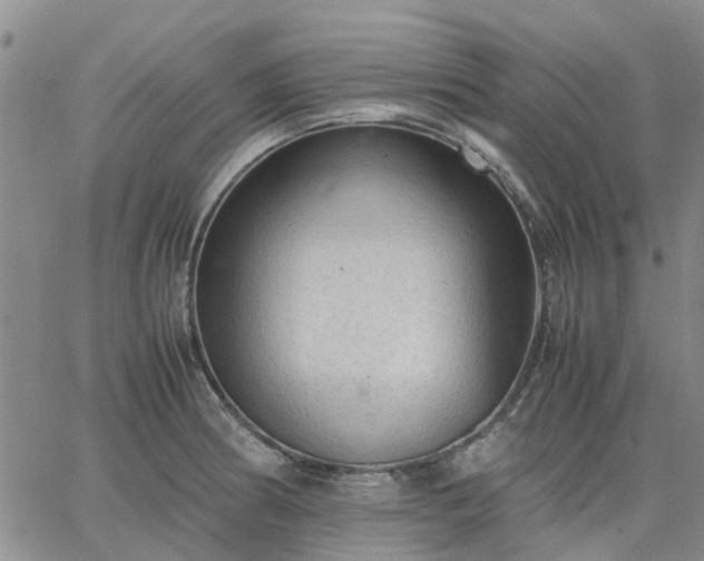 X0000064731186200602171634