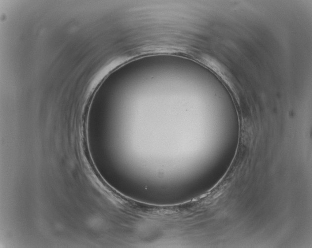 X0000064731187200602171634