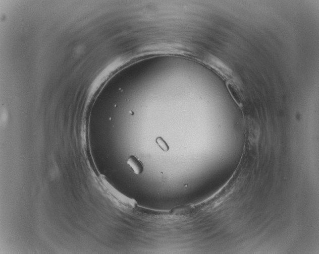 X0000064731188200602171634