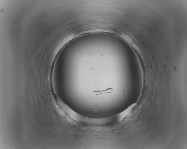 X0000064731189200602171634