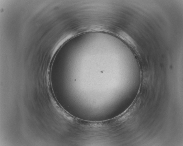 X0000064731190200602171634