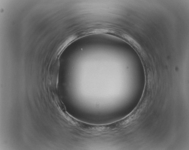 X0000064731193200602171634