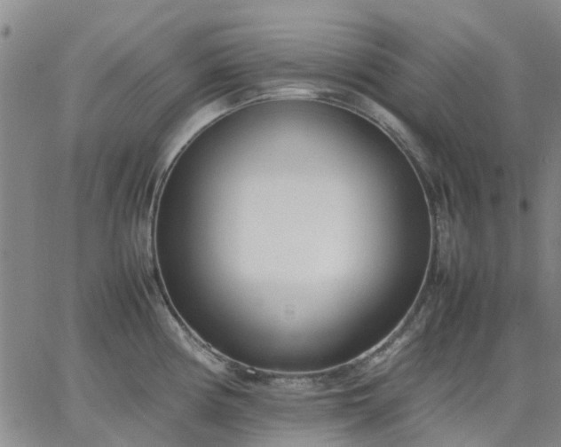 X0000064731194200602171634