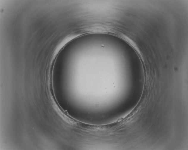 X0000064731195200602171634