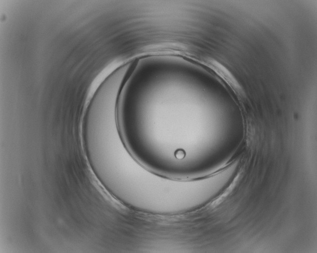 X0000064731196200602171634