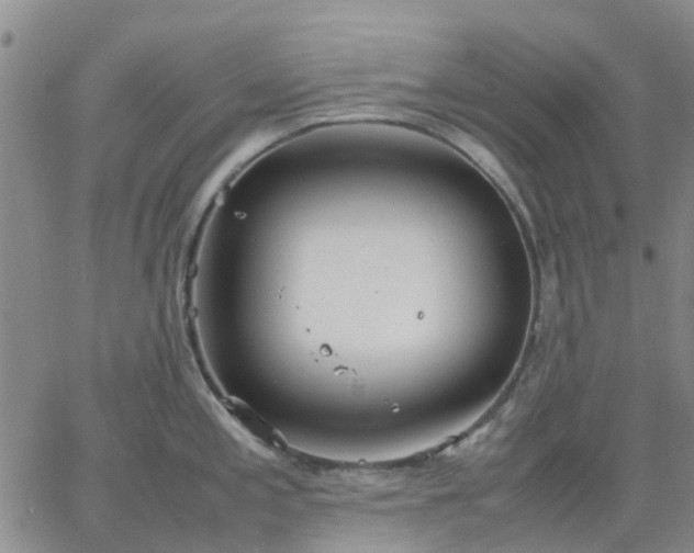 X0000064731197200602171634