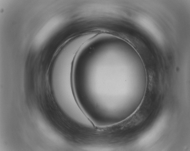 X0000064731198200602171634