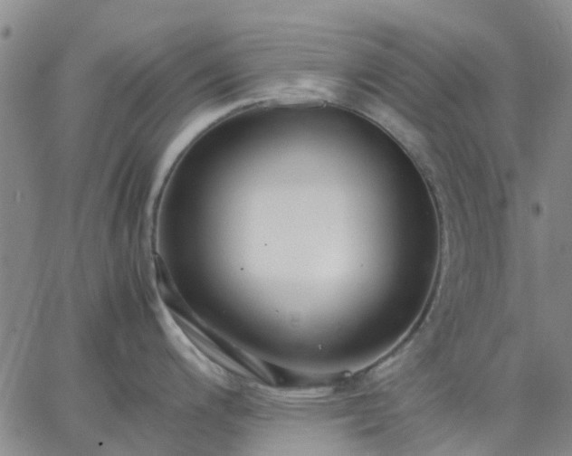 X0000064731200200602171634