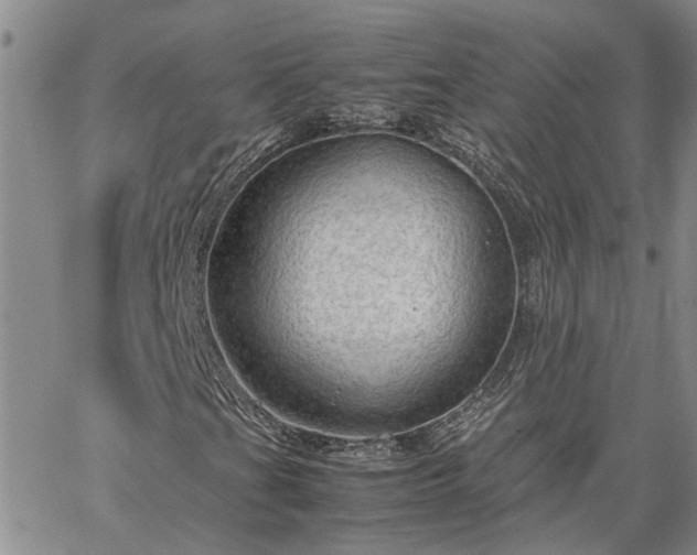 X0000064731201200602171633