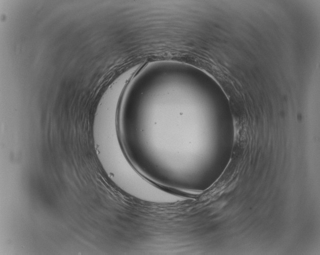 X0000064731202200602171633