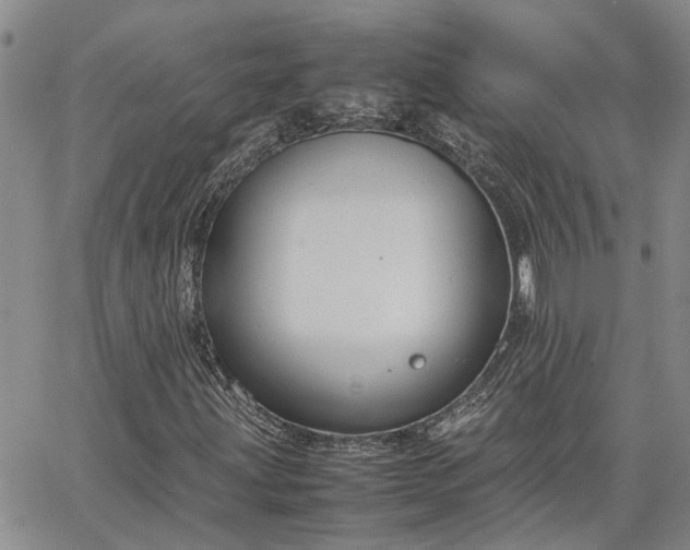 X0000064731203200602171633