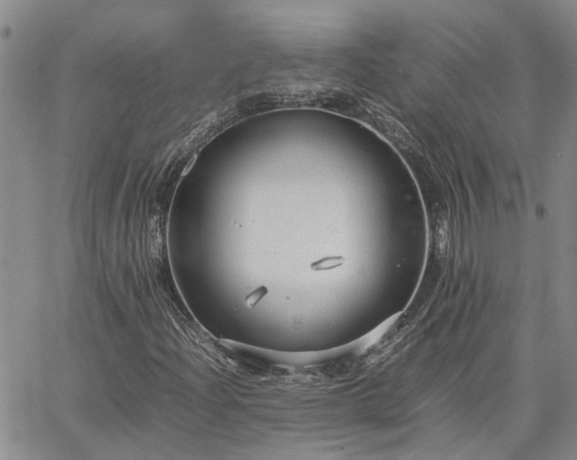 X0000064731204200602171633