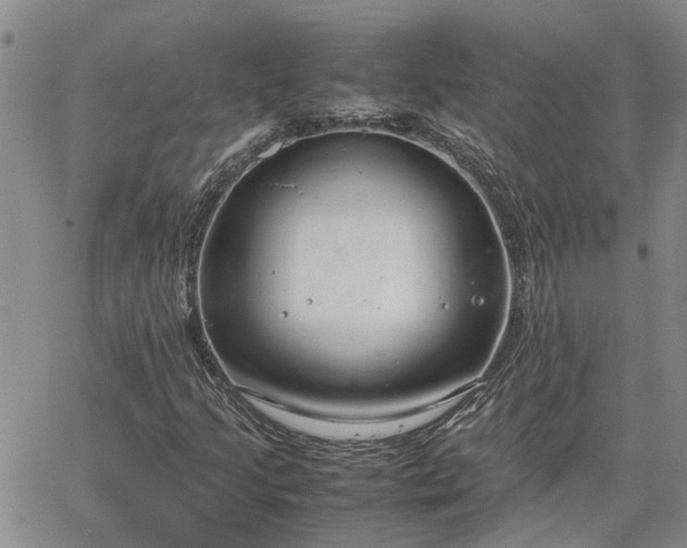 X0000064731205200602171633