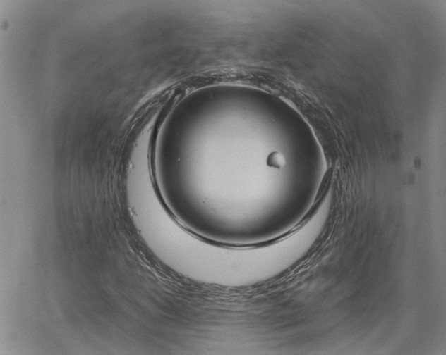 X0000064731206200602171633