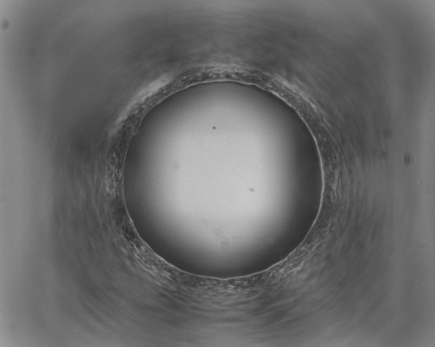 X0000064731207200602171633