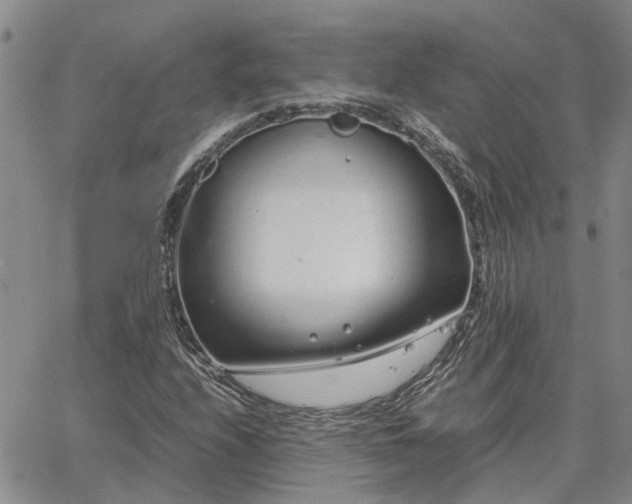 X0000064731208200602171633