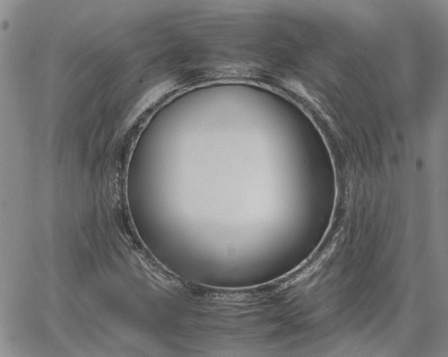 X0000064731211200602171633