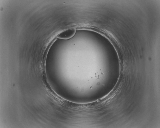 X0000064731212200602171633