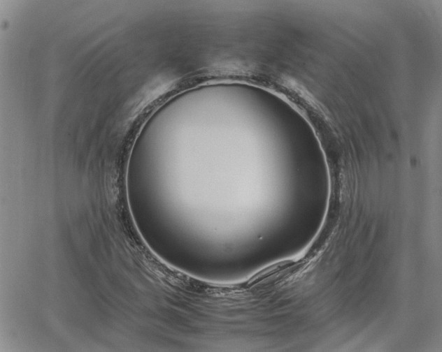 X0000064731213200602171633