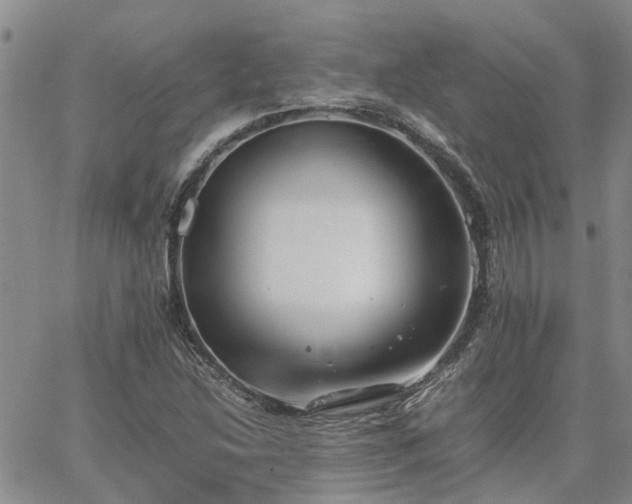 X0000064731214200602171633