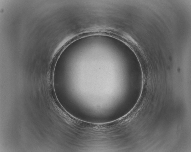 X0000064731216200602171633