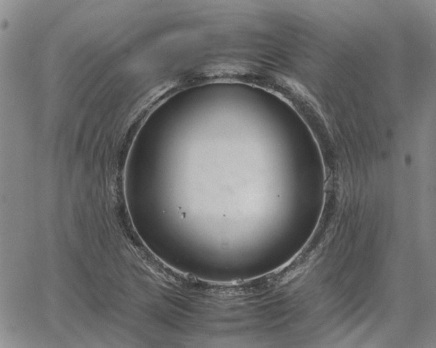 X0000064731217200602171633