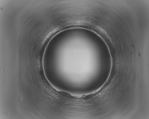 X0000064731218200602171633