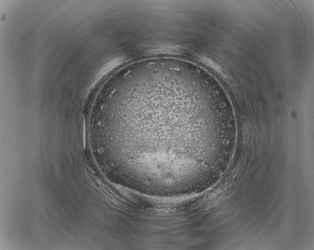 X0000064731219200602171633