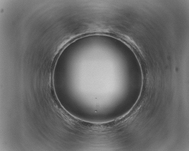 X0000064731220200602171633